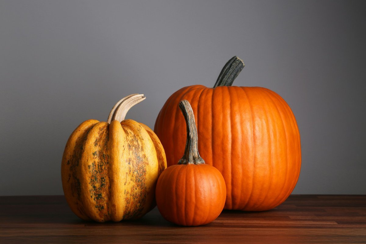 Setting a Wider Table: Meaningful Ways to Give Back This Thanksgiving Across St. John's