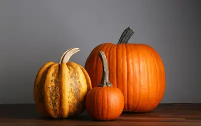 Setting a Wider Table: Meaningful Ways to Give Back This Thanksgiving Across St. John's