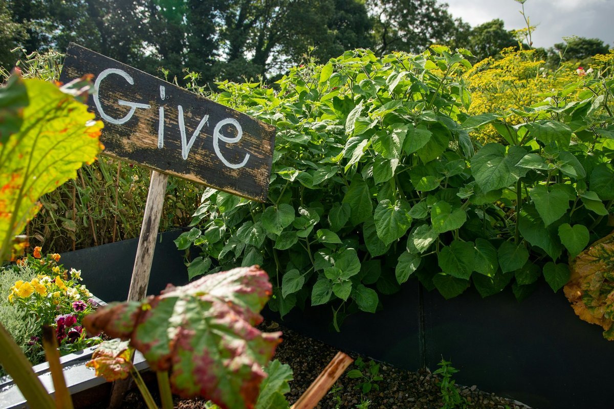 Innovate Today, Nourish Tomorrow: Reimagining Food Security Across St. John's