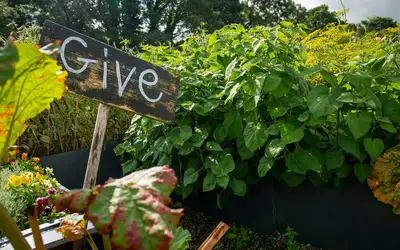 Feature image for Innovate Today, Nourish Tomorrow: Reimagining Food Security Across St. John's