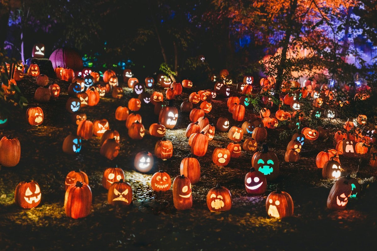 Spooktacular Ways to Give Back: Celebrating Halloween 2026 in St. John's