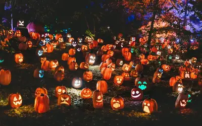 Feature image for Spooktacular Ways to Give Back: Celebrating Halloween 2026 in St. John's