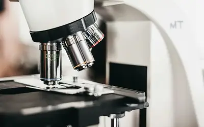 Micro-Volunteering in St. John's: How to Make a Big Difference in Just Minutes