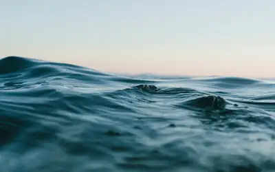 Image à la une pour Celebrate World Water Day in St. John's!