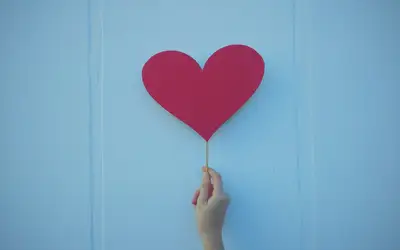 Feature image for Show St. John's Some Love This February