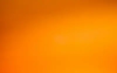 Celebrating Sikh Heritage Month in St. John's