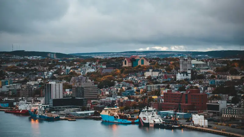 Nonprofit Organizations in St. John's