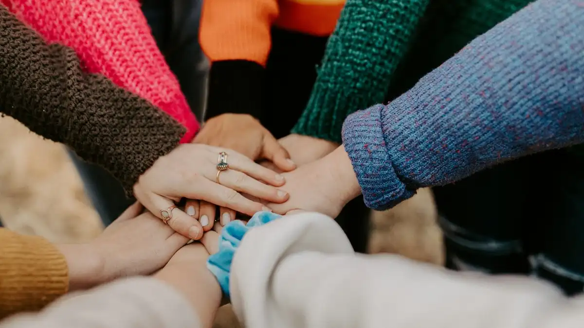 Volunteer opportunities in St. John's