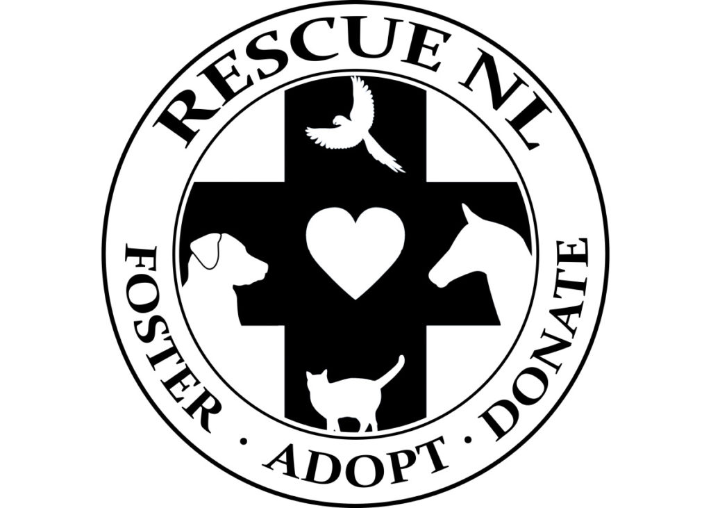 officialrescueforabout Volunteer St. John's